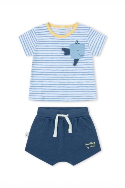 Conjunto ballena