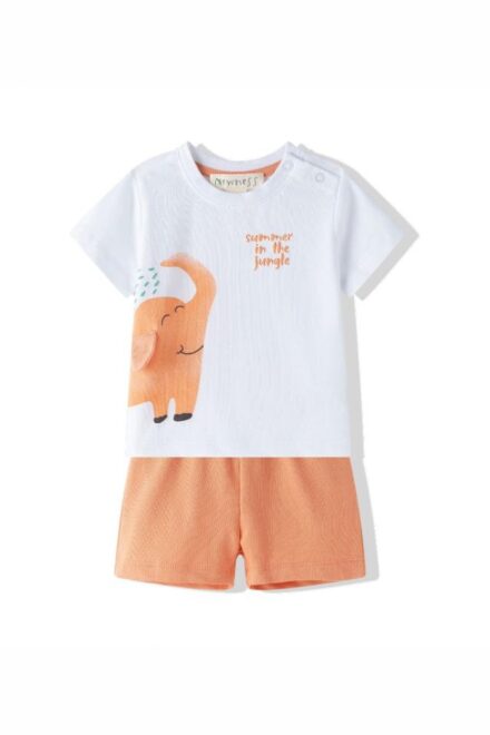 Conjunto elefante