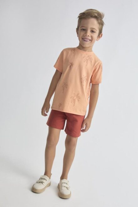 Conjunto palmeras