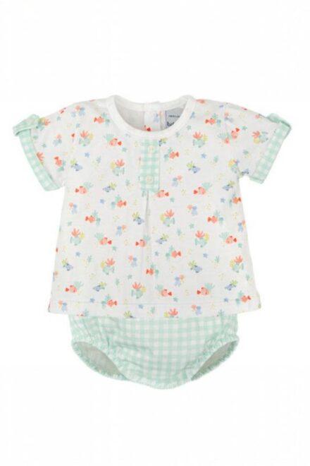Conjunto peces