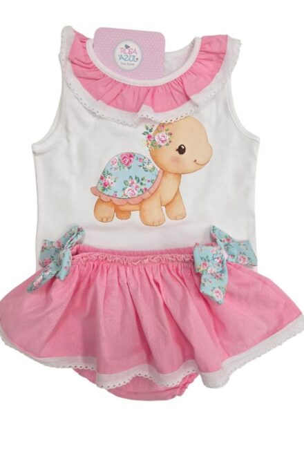 Conjunto tortuga