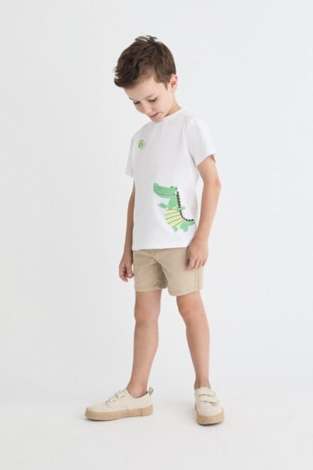 Camiseta dino