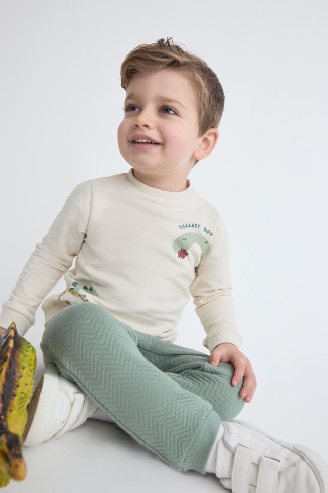 Conjunto-dinosaurio-1.jpg Conjunto dinosaurio