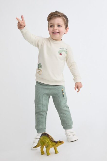 Conjunto dinosaurio