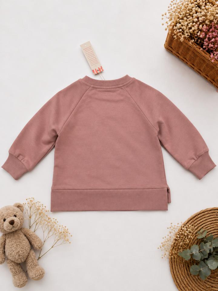 Sudadera-sin-afelpar-1.jpg Sudadera sin afelpar