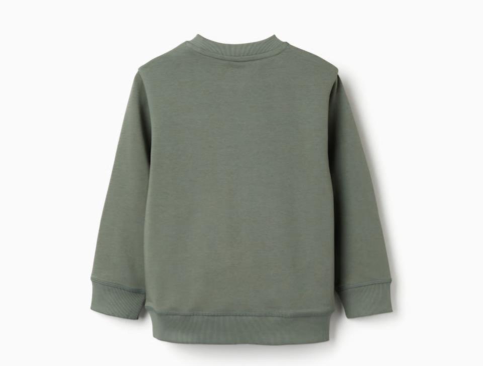 Sudadera-sin-afelpar-1.jpg Sudadera sin afelpar