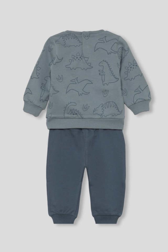Conjunto-dinosaurio-2.jpg Conjunto dinosaurio