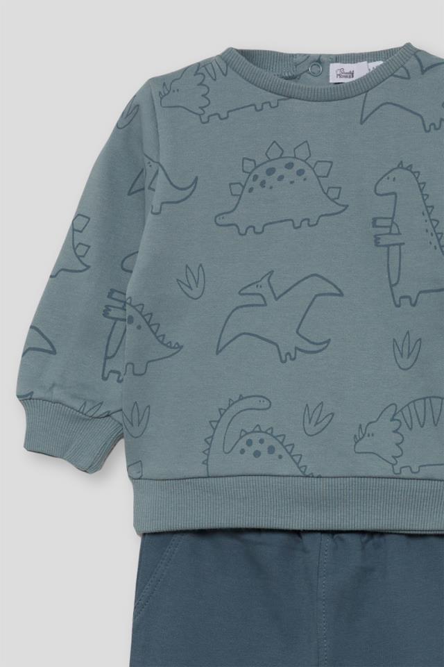 Conjunto-dinosaurio-3.jpg Conjunto dinosaurio