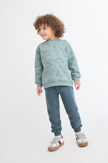 Conjunto dinosaurio